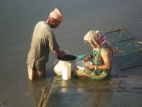 Sunderban prawn collectors